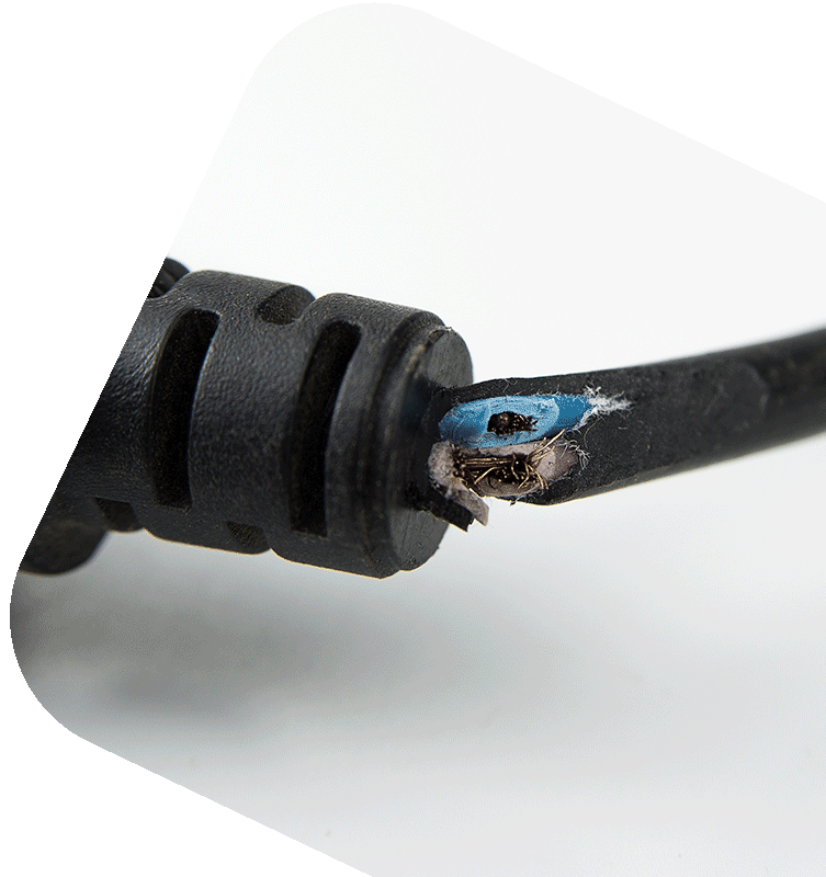 Damage electrical plug wire
